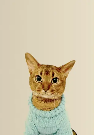  Ricky Mascot photo