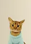 Cat Ricky Mascot