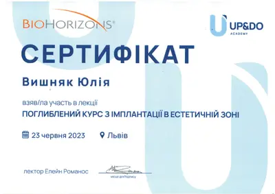 Vyshniak Yuliia Leonidivna certificate #2