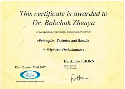 Babchuk Yevheniia Oleksandrivna certificate #9