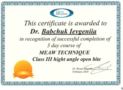 Babchuk Yevheniia Oleksandrivna certificate #17