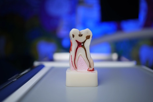 Therapeutic dentistry photo