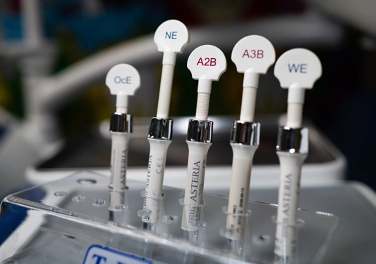 Aesthetic dental restoration photo